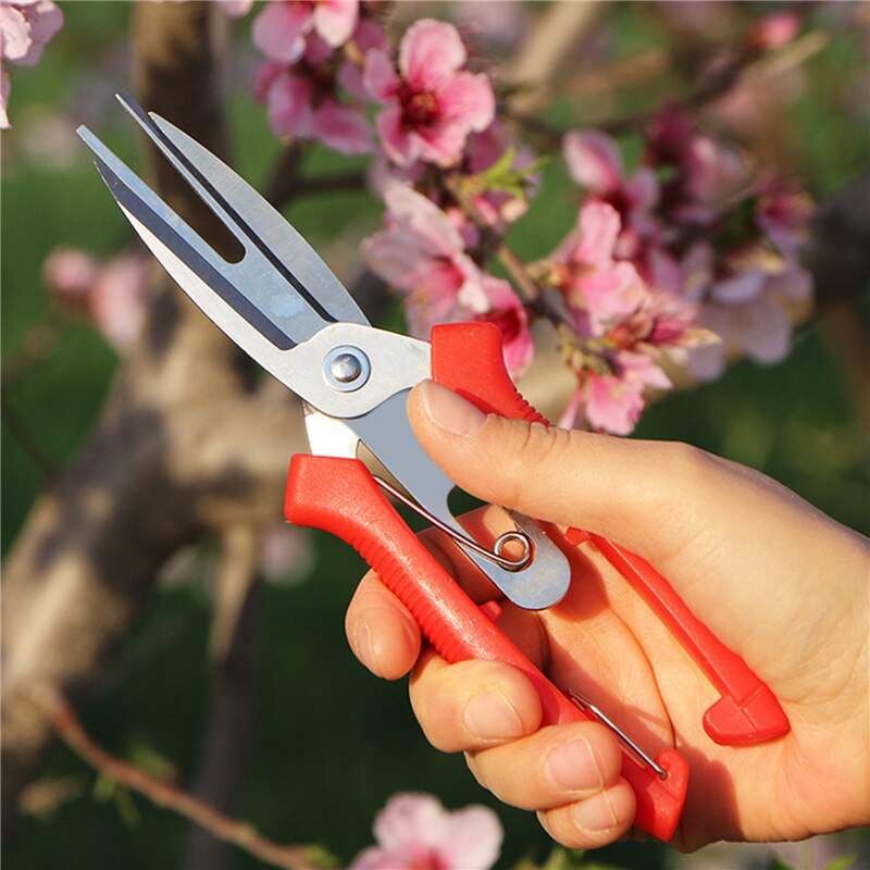 Plant Pruner Scissors